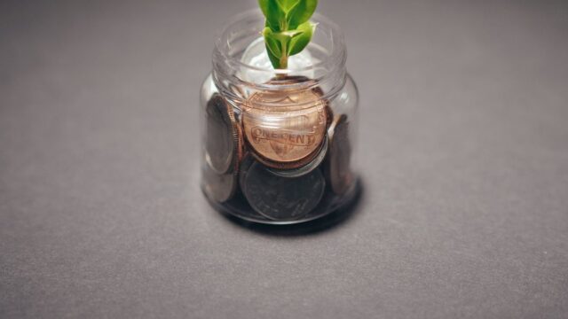 A small green plant growing out of a jar of coins