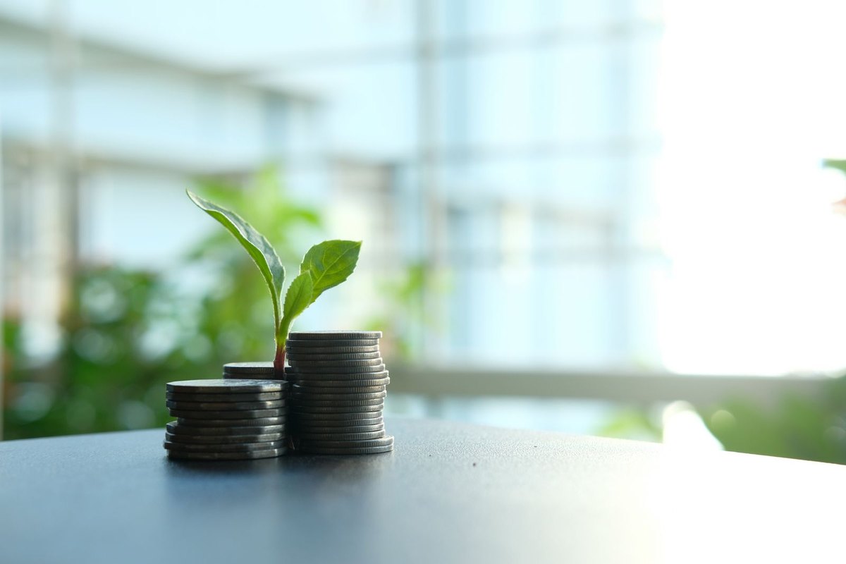 A small plant growing between piles of silver coins
